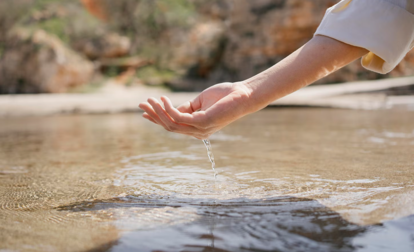 Traitement écologique de l’eau