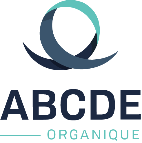A.B.C.D.E