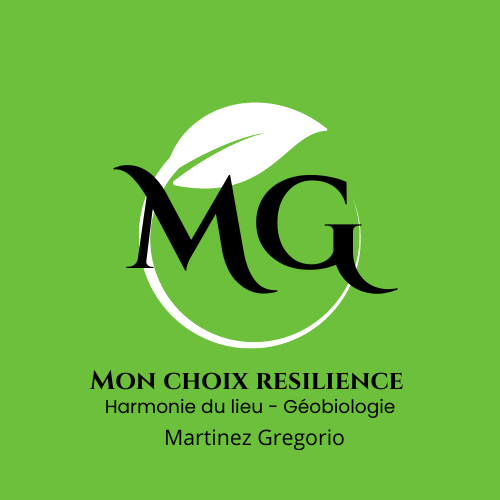 MON CHOIX RESILIENCE