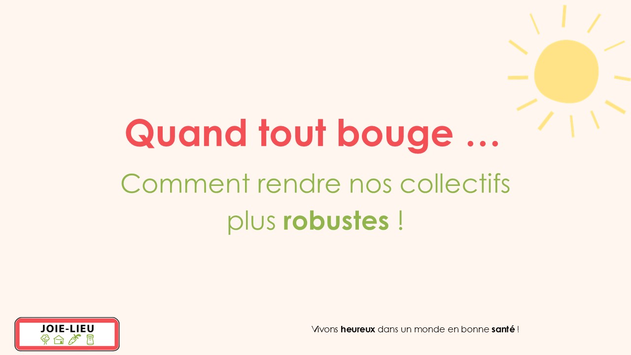 Sensibilisation à la robustesse