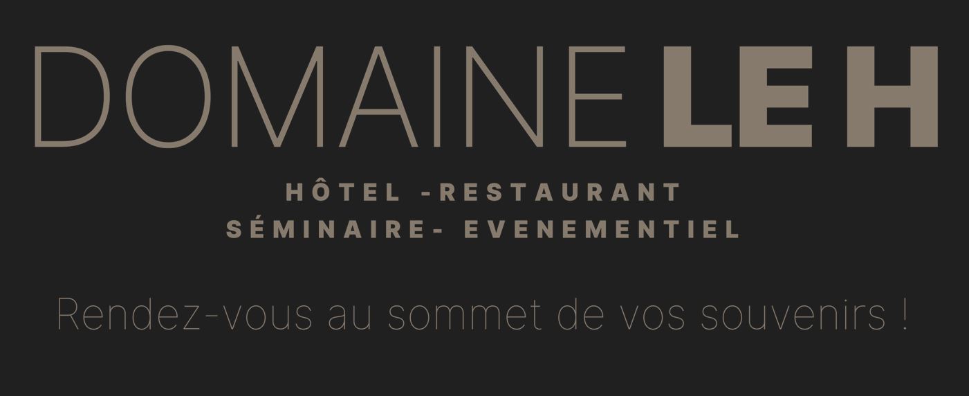 HOTEL DOMAINE LE H
