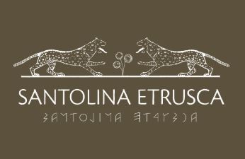 SANTOLINA ETRUSCA ROUFFACH