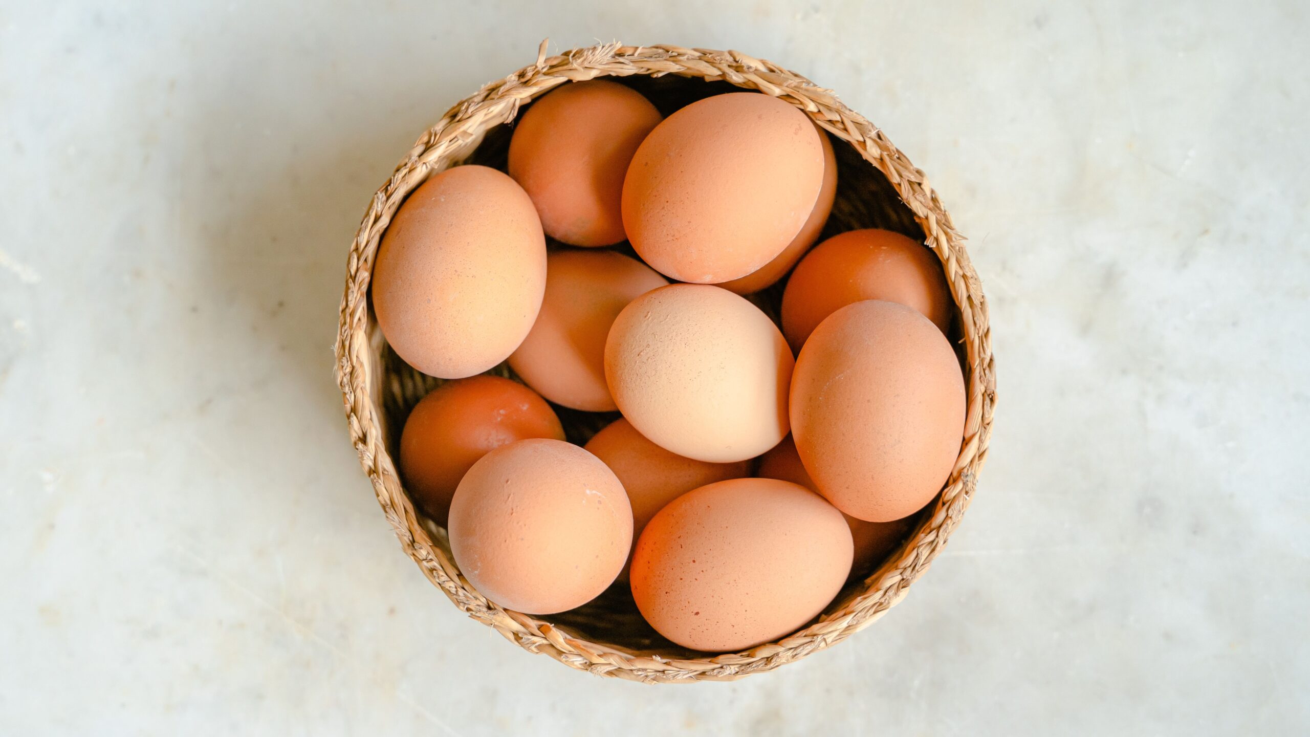 Oeufs biologiques issus d’élevages régionaux