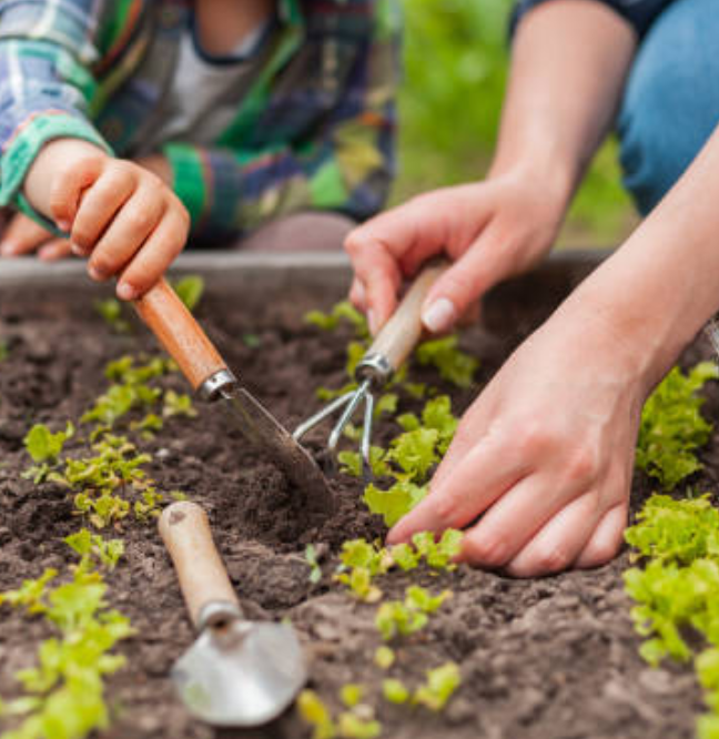 Fruits et légumes issus d’une agriculture résiliente et solidaire